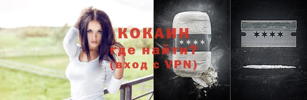 дживик Алексин