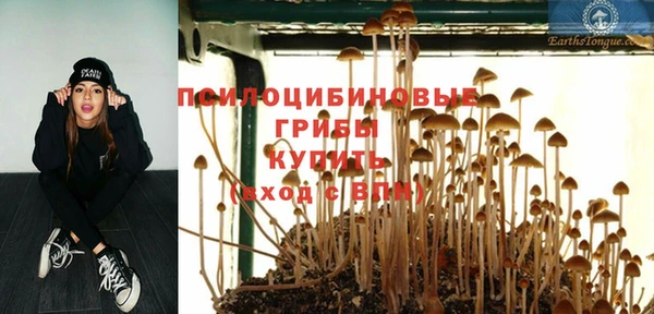 мескалин Покров