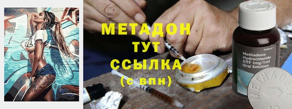 сатива Козловка