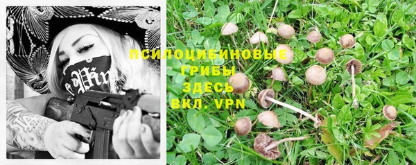 mdpv Алзамай